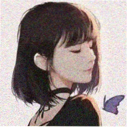 专栏作者 青栉 头像